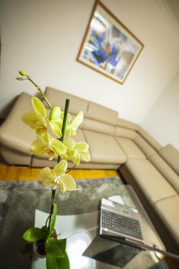 Business Class Apartment Cluj-Napoca Buitenkant foto