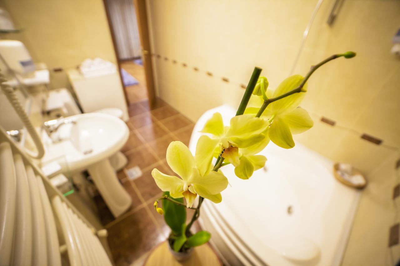 Business Class Apartment Cluj-Napoca Buitenkant foto