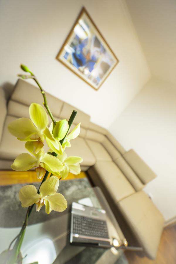 Business Class Apartment Cluj-Napoca Buitenkant foto