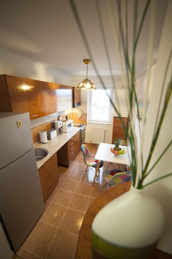 Business Class Apartment Cluj-Napoca Buitenkant foto